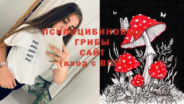 прущие грибы Балабаново