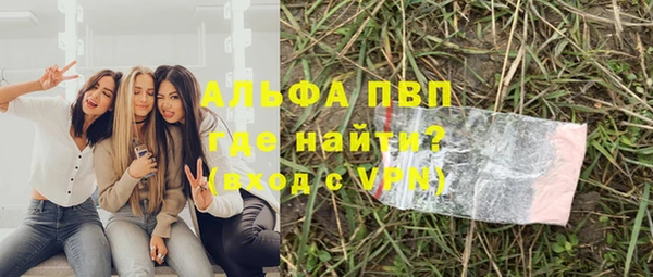 прущие грибы Балабаново