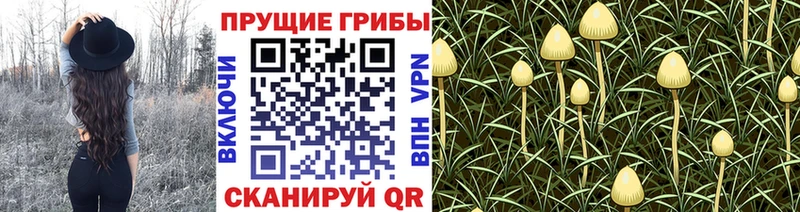 Галлюциногенные грибы прущие грибы  Петухово 